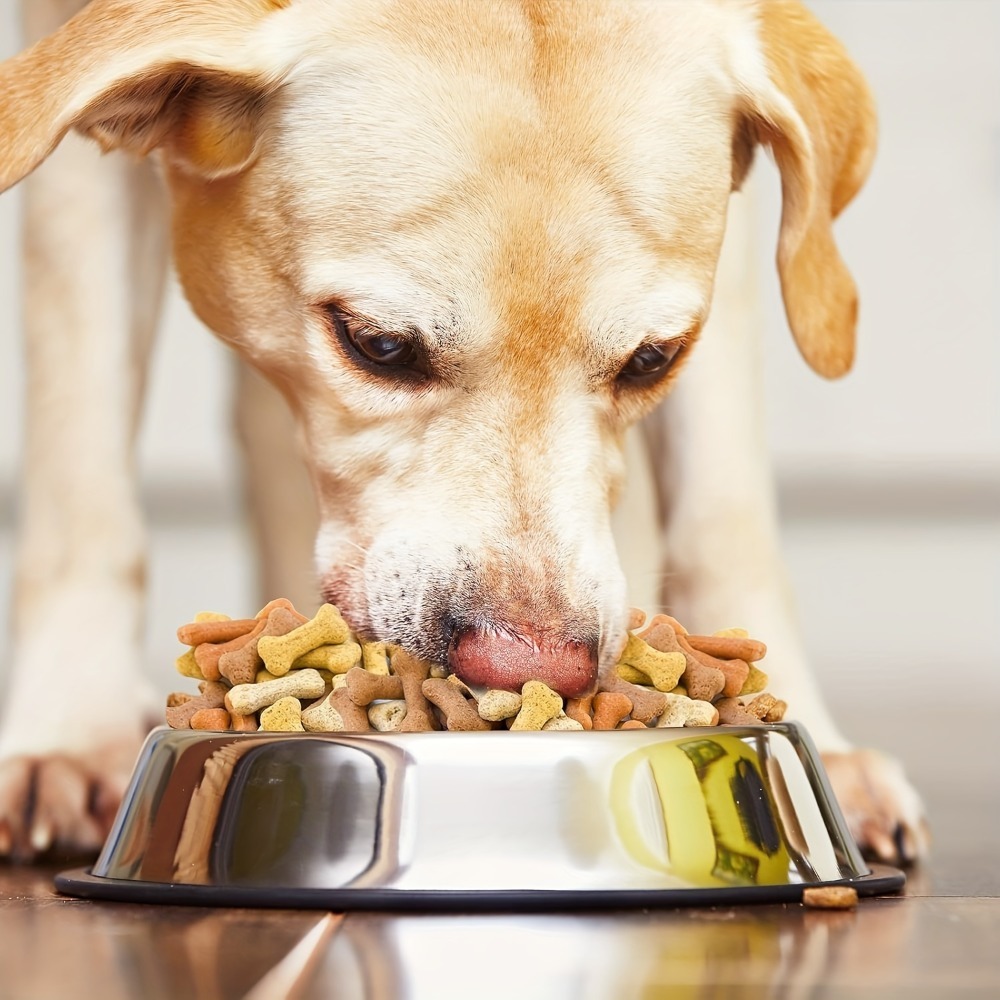 2 Adet Silikon Köpek Ödül Mama - Chocolate Snack incelemesi ve fiyatı