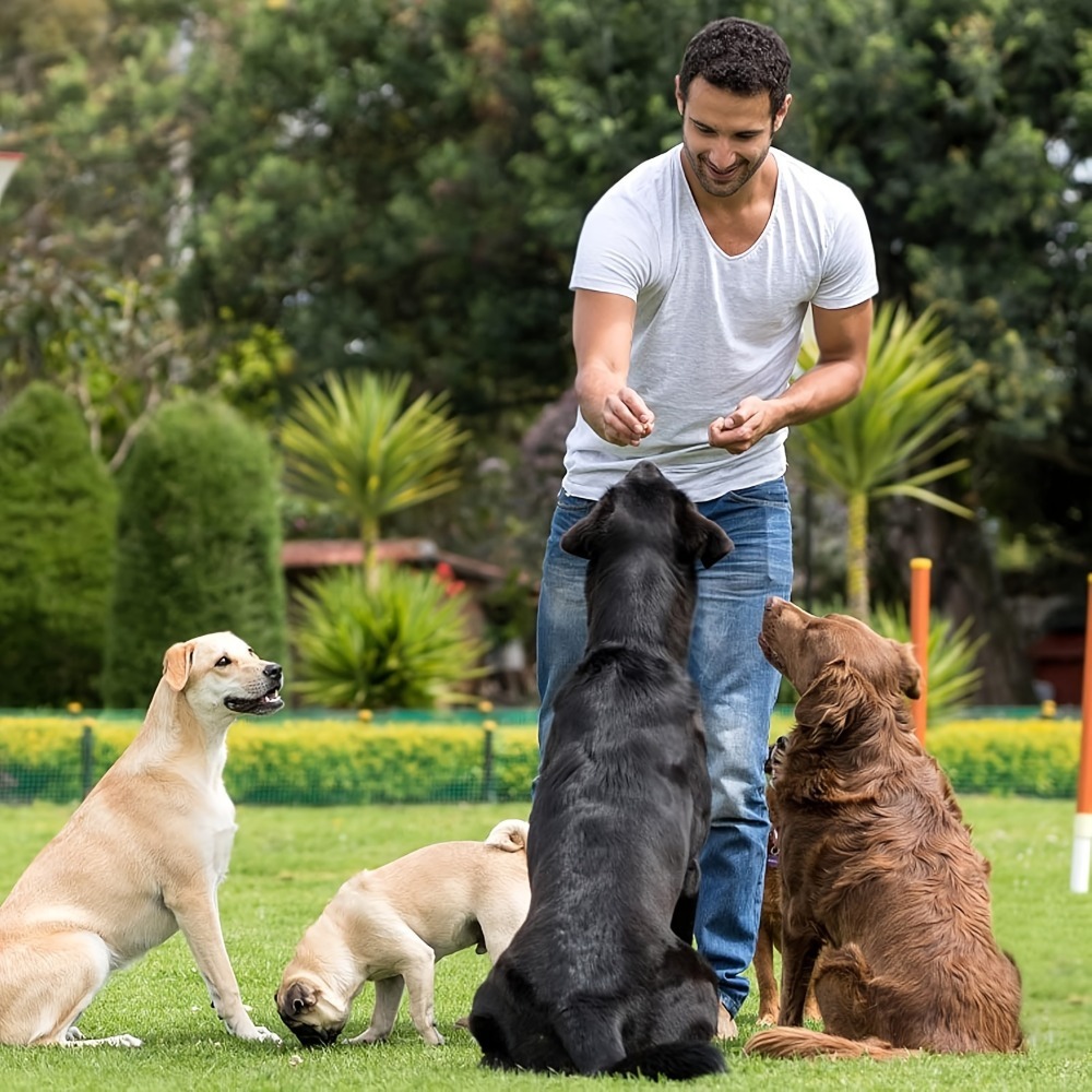 2 Adet Silikon Köpek Ödül Mama - Chocolate Snack incelemesi ve fiyatı
