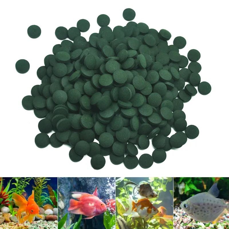50-300 Adet Yüksek Saflıkta Sp - Seaweed Snack incelemesi ve fiyatı