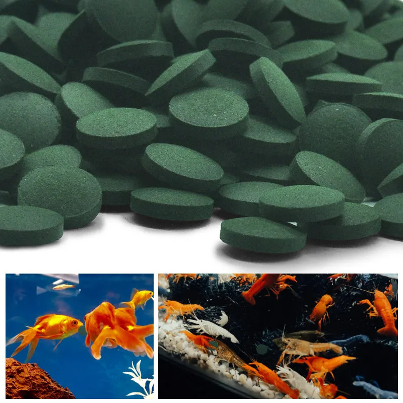50-300 Adet Yüksek Saflıkta Sp - Seaweed Snack incelemesi ve fiyatı