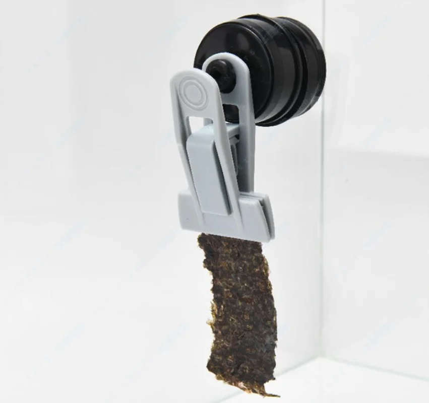 VastOcean Sebze-Mag Besleme Kl - Seaweed Snack incelemesi ve fiyatı